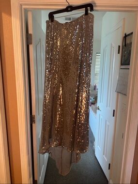 Forever 21 Silver Sequin Maxi Skirt